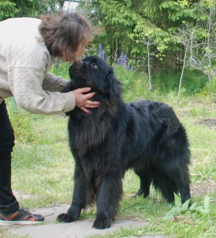 Фотография № 236363