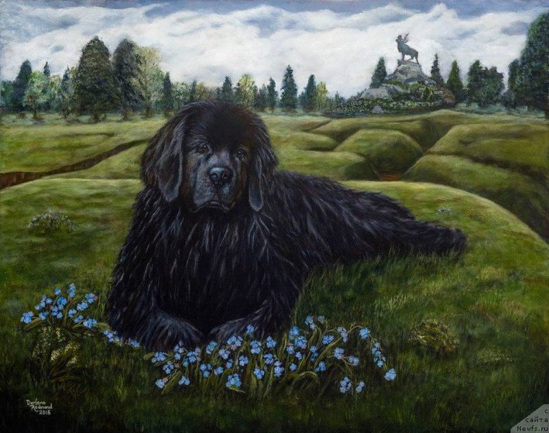 Фотография № 236377