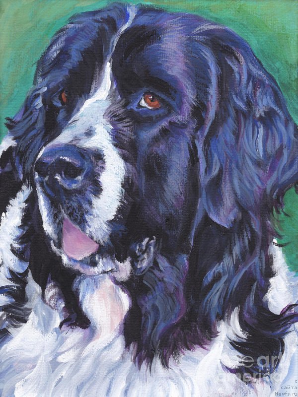 Фотография № 236382