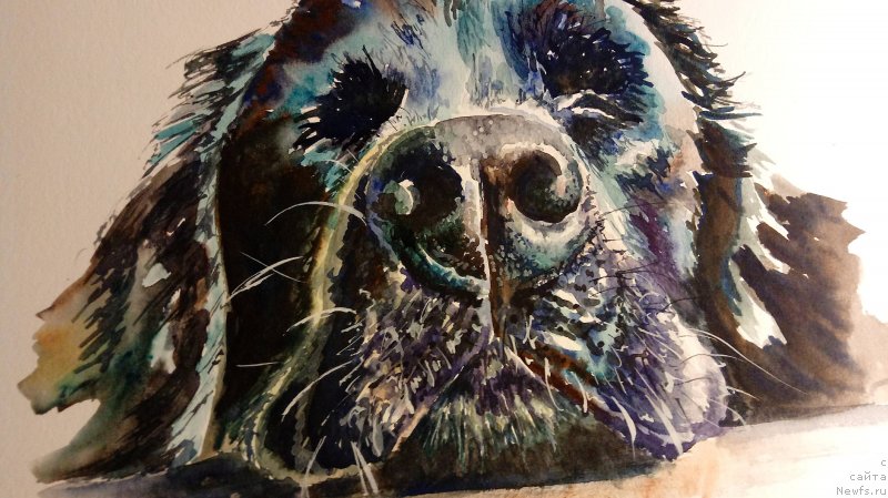 Фотография № 236437