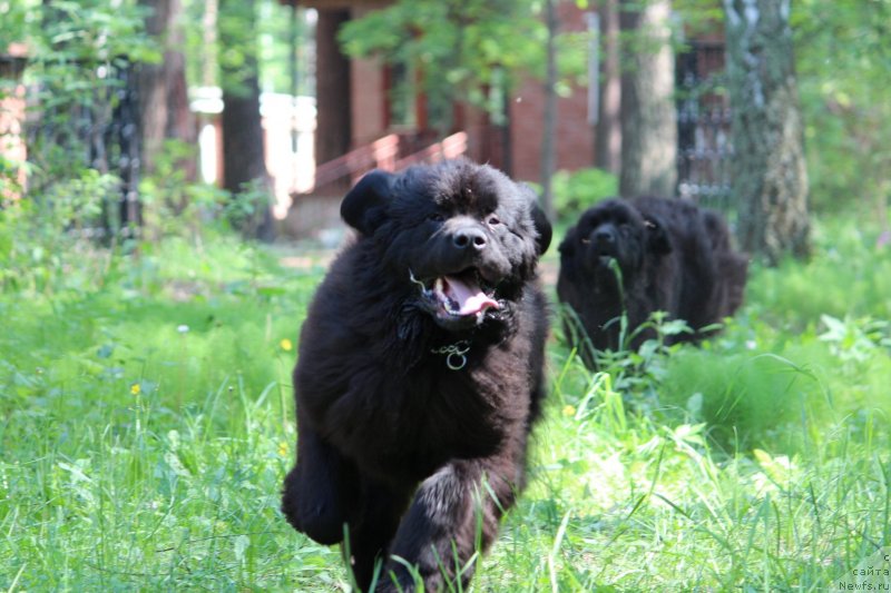 Фотография № 236467