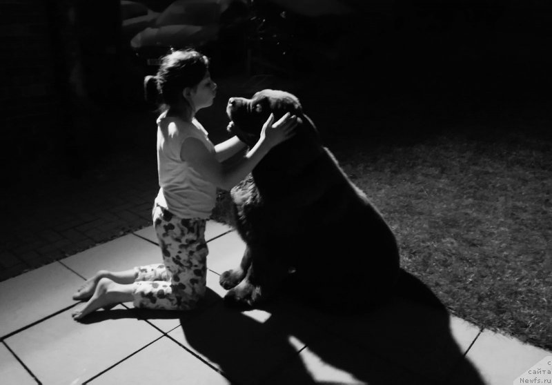 Фотография № 236468