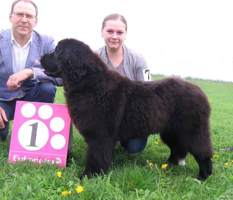 Фотография № 236471