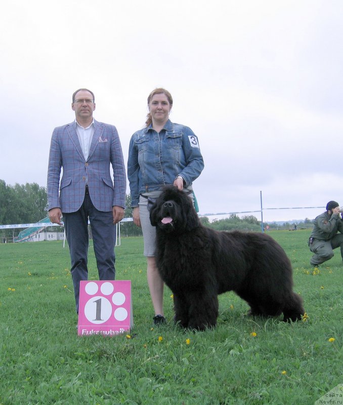 Фотография № 236473