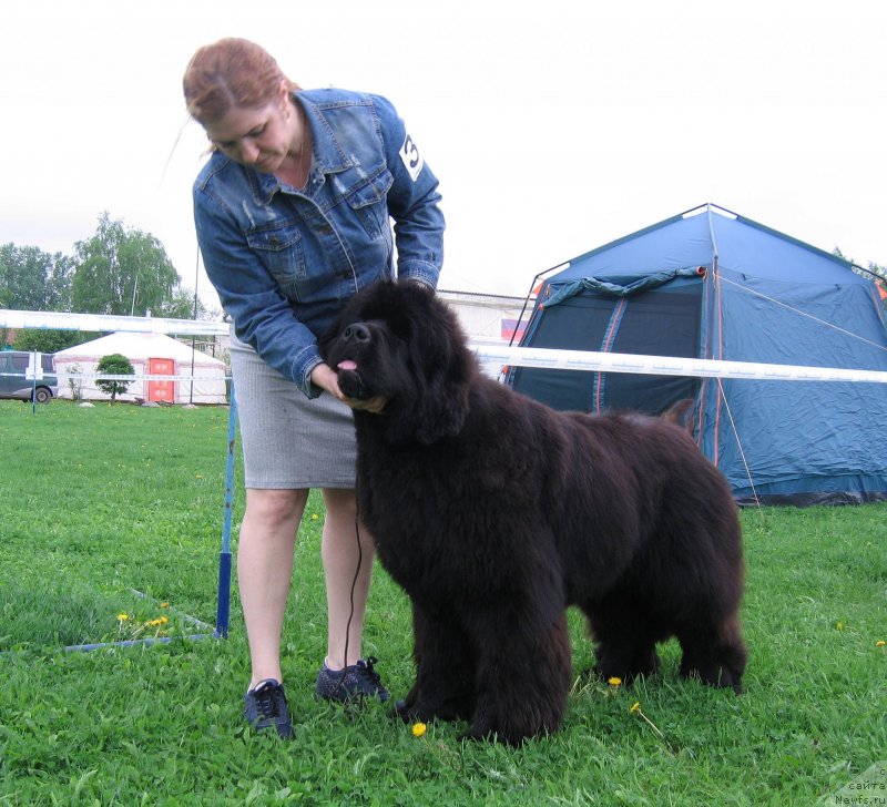 Фотография № 236474