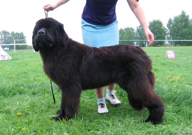 Фотография № 236475