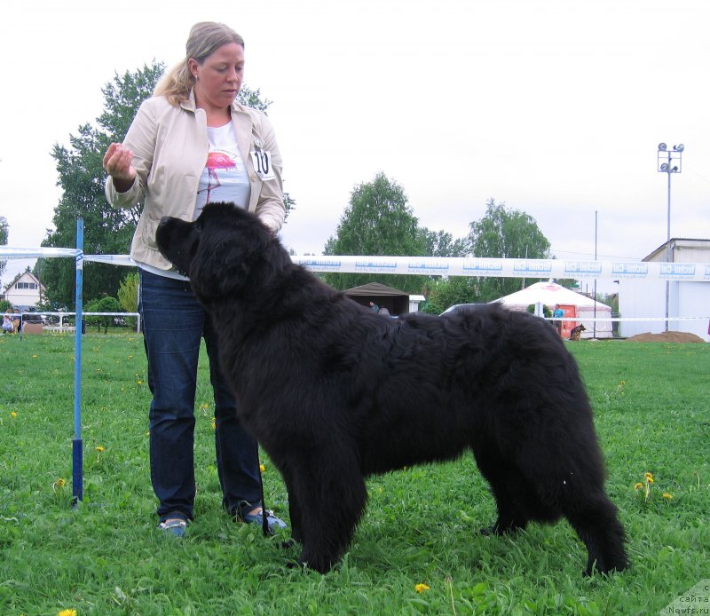 Фотография № 236480