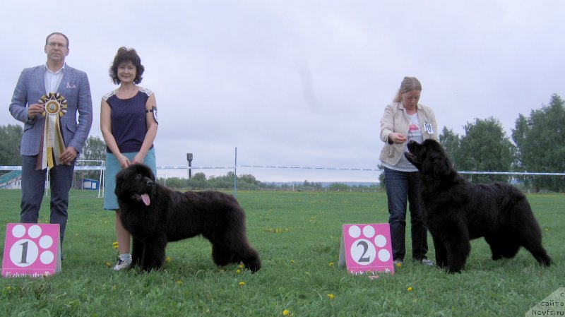 Фотография № 236482