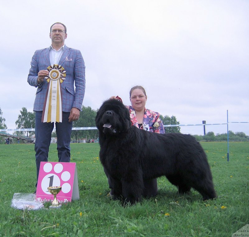 Фотография № 236489