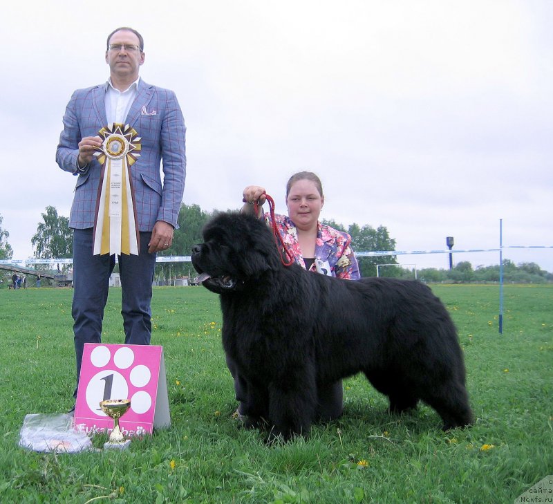 Фотография № 236490