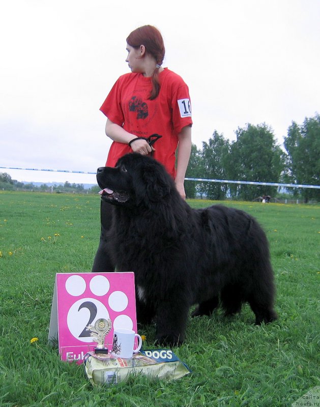 Фотография № 236496