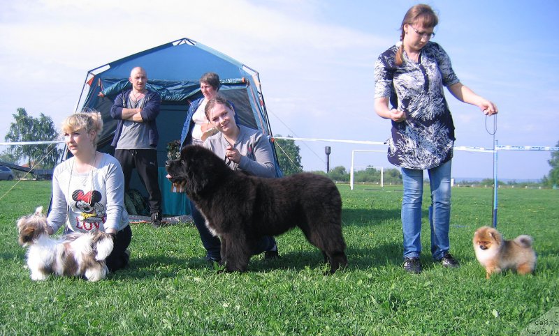 Фотография № 236499