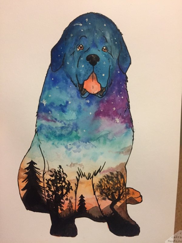 Фотография № 236501