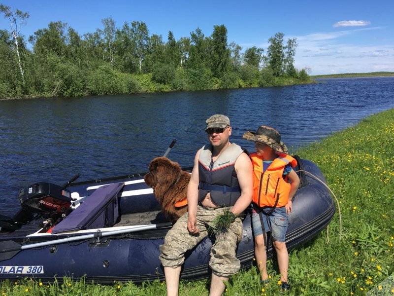 Фотография № 236503