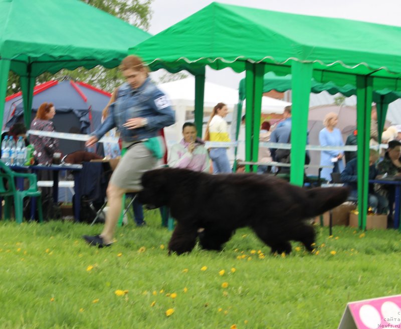 Фотография № 236507