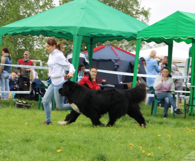 Фотография № 236508