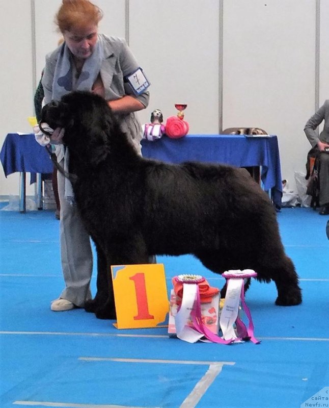 Фотография № 236534