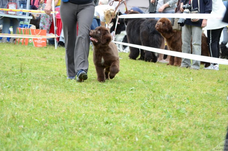 Фотография № 236536