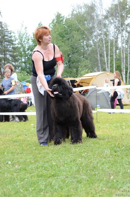 Фотография № 236538