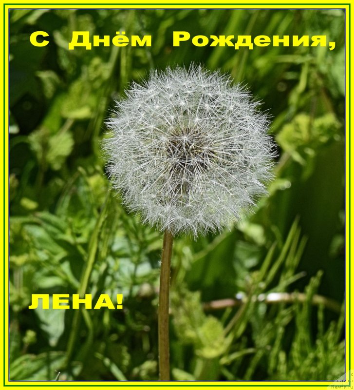 Фото: Elena SHigal' (Елена Шигаль)