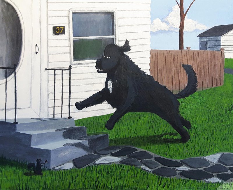 Фотография № 236547