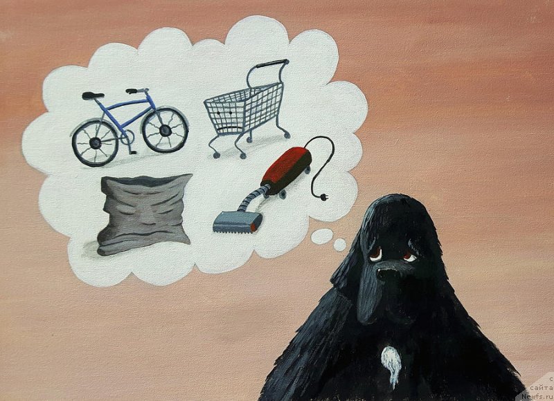 Фотография № 236549