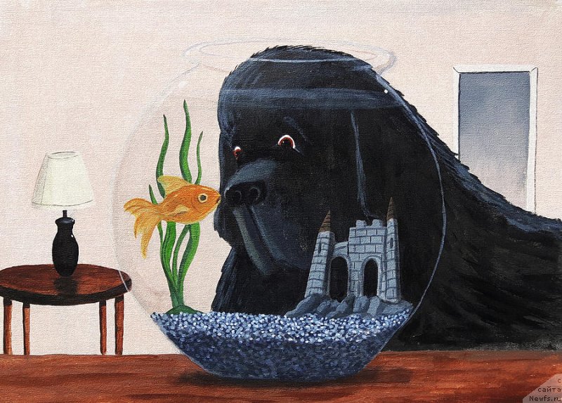 Фотография № 236550