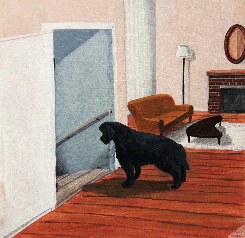 Фотография № 236551