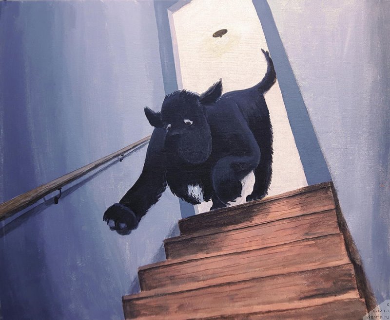 Фотография № 236553