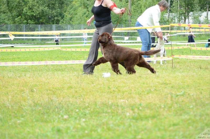 Фотография № 236560