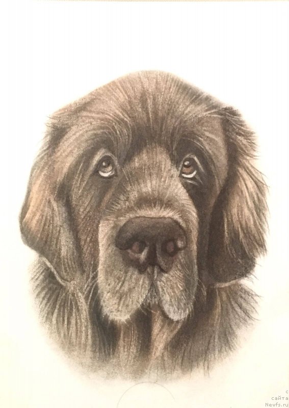 Фотография № 236567