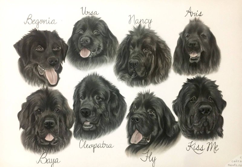 Фотография № 236568