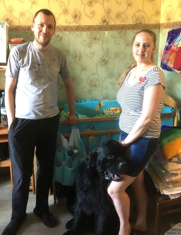 Фотография № 236577