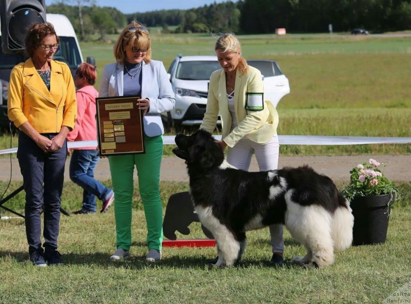 Фотография № 236580