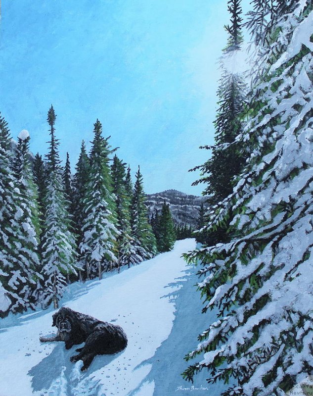 Фотография № 236584