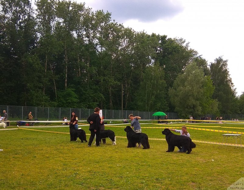 Фотография № 236587