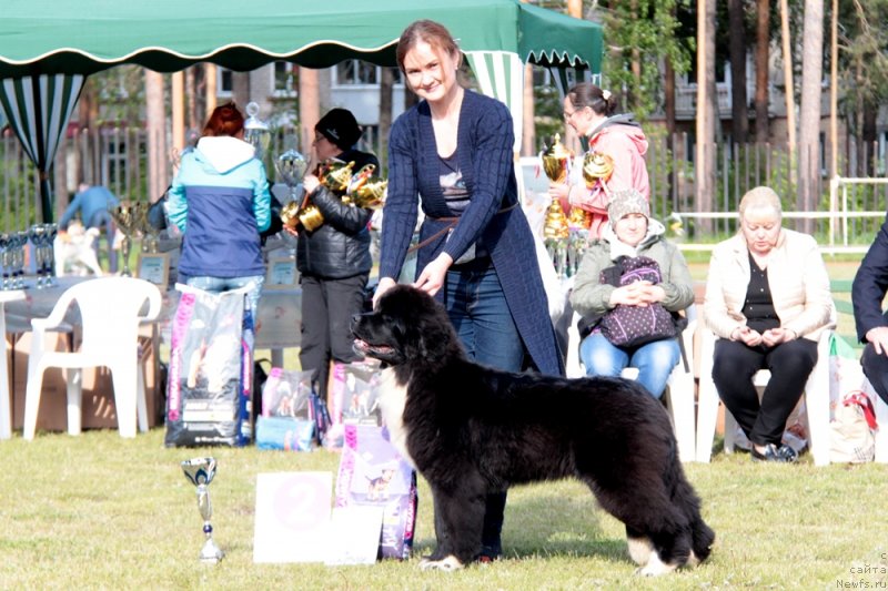 Фотография № 236613