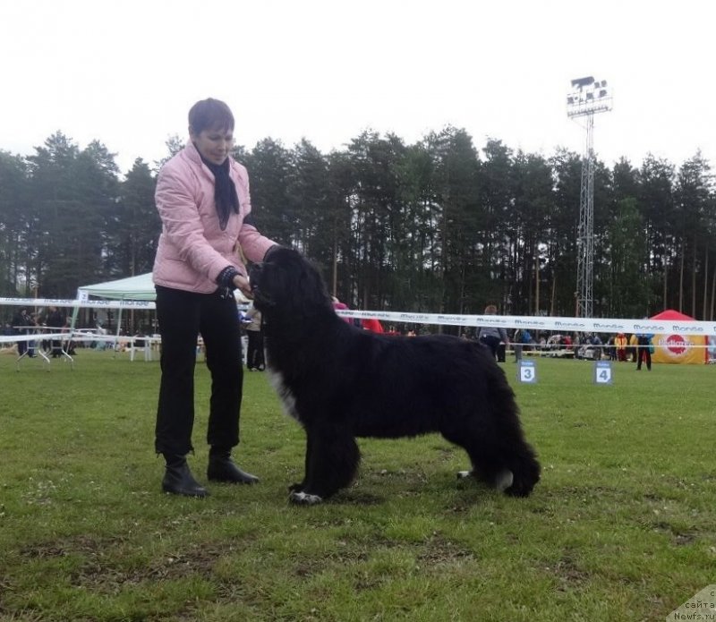 Фотография № 236618