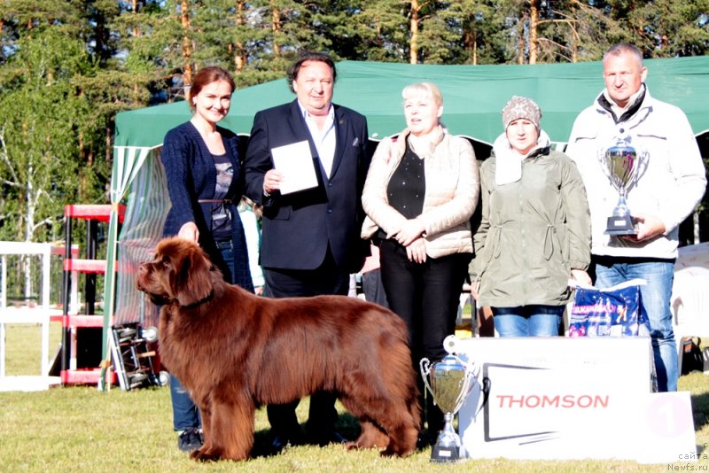 Фотография № 236620