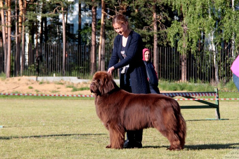 Фотография № 236621