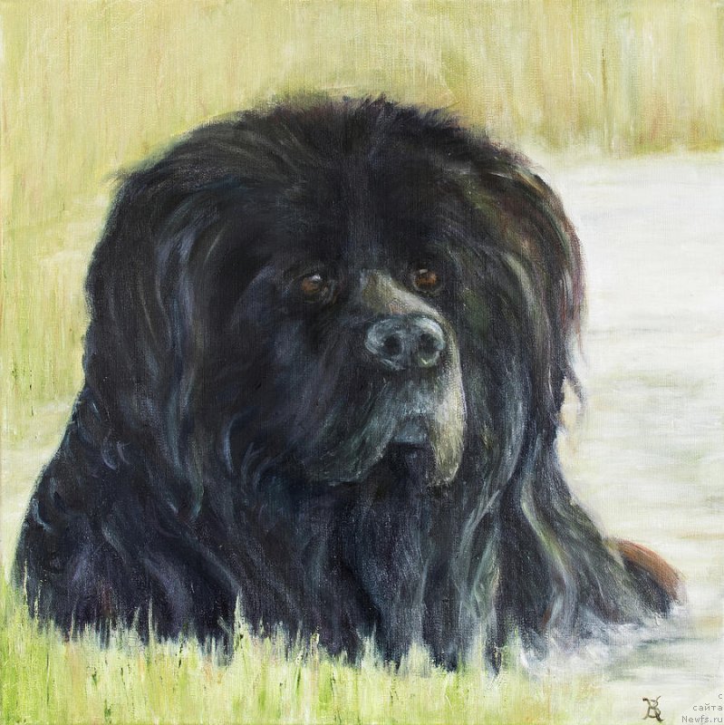 Фотография № 236623