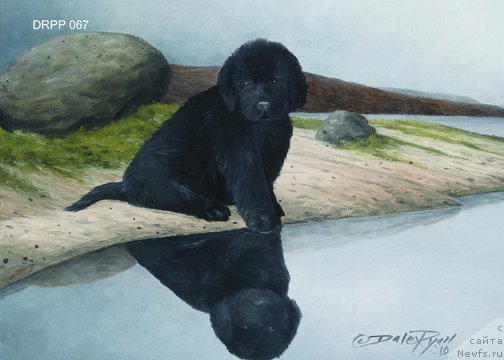 Фотография № 236630