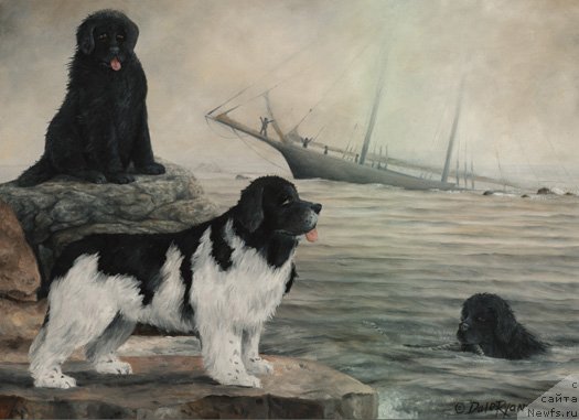 Фотография № 236632