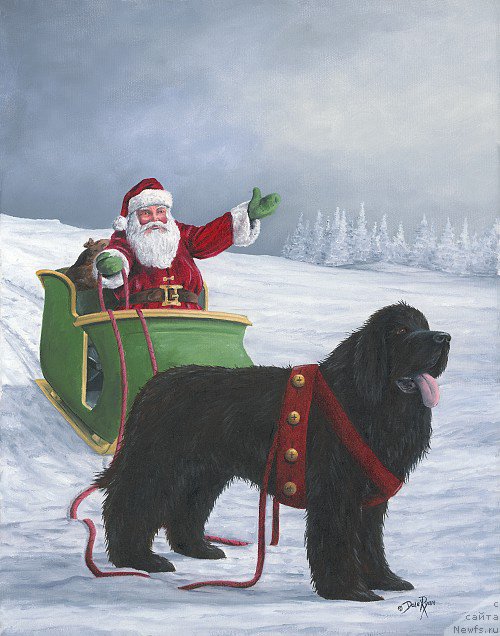 Фотография № 236635