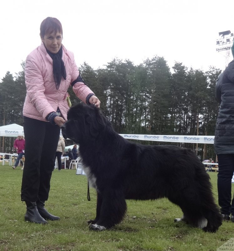 Фотография № 236644