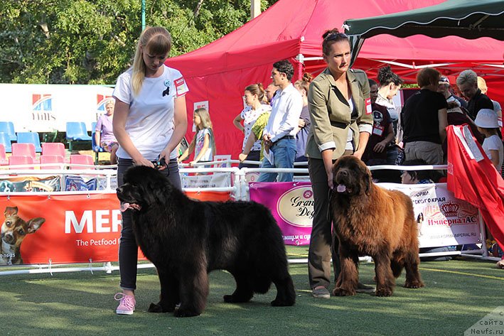 Фотография № 236650