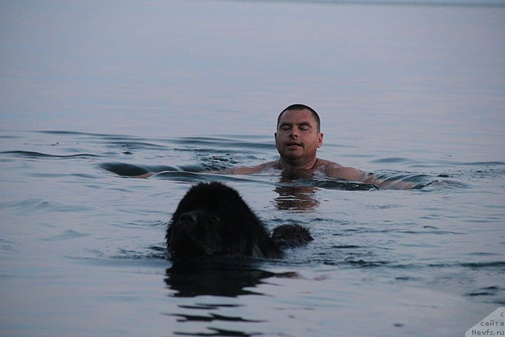 Фотография № 236656