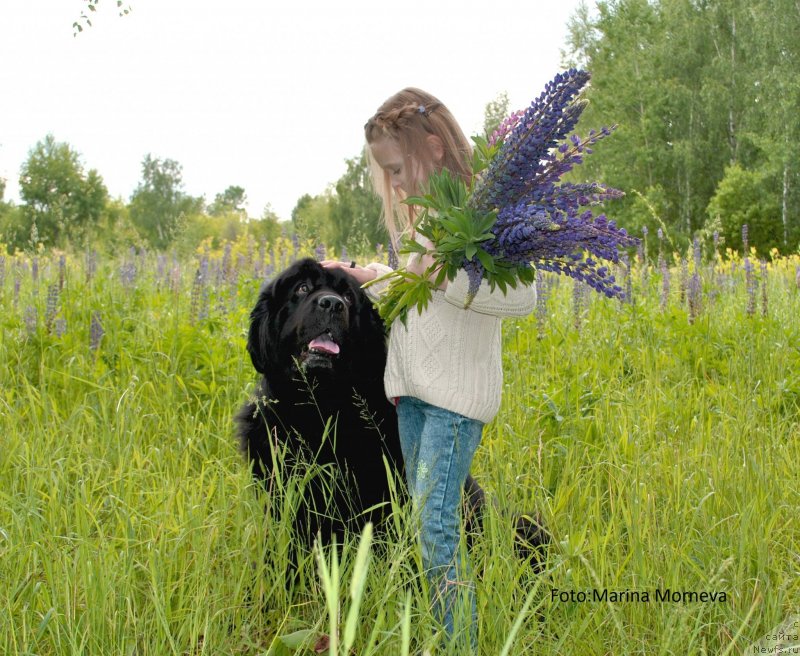 Фотография № 236660