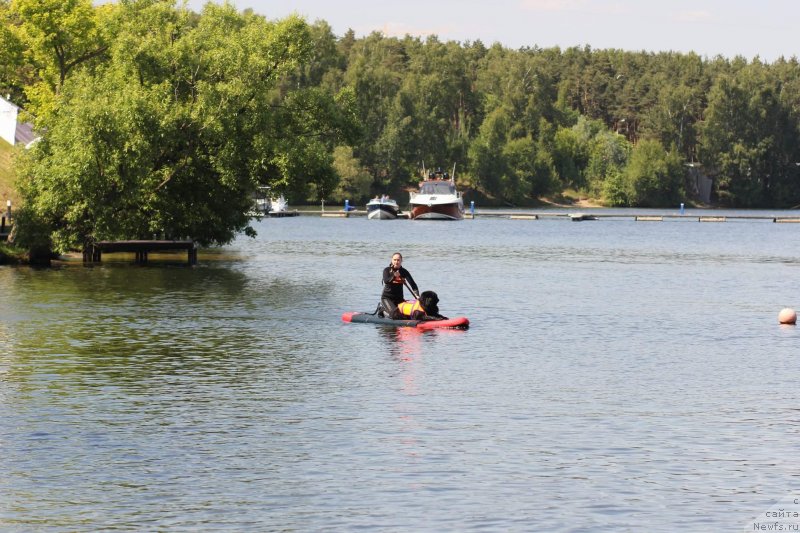 Фотография № 236665