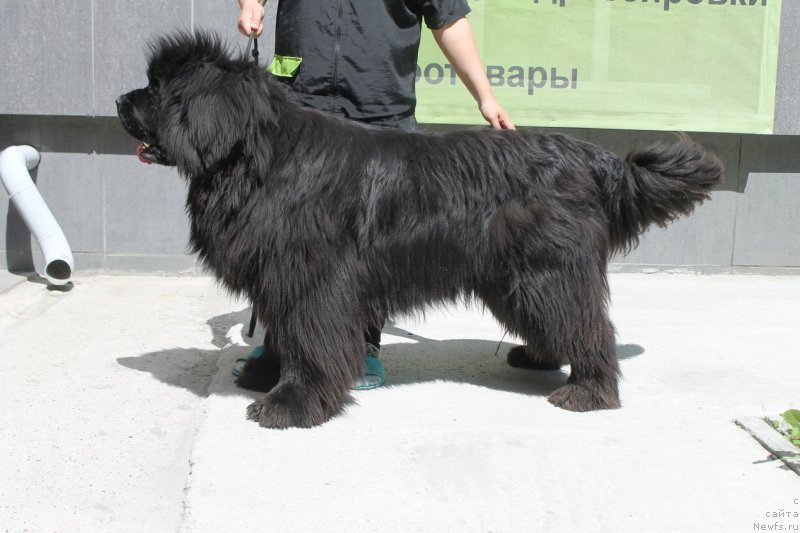 Фотография № 236678